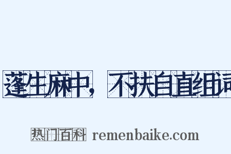 蓬生麻中，不扶自直组词是什么意思的图片